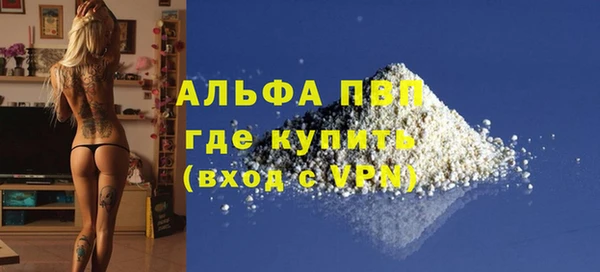 стафф Богданович