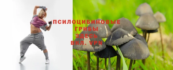 гашик Армянск